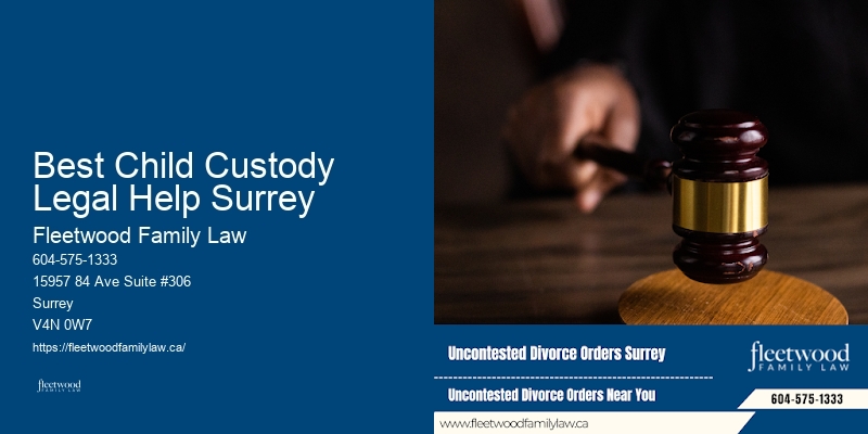 Best Child Custody Legal Help Surrey