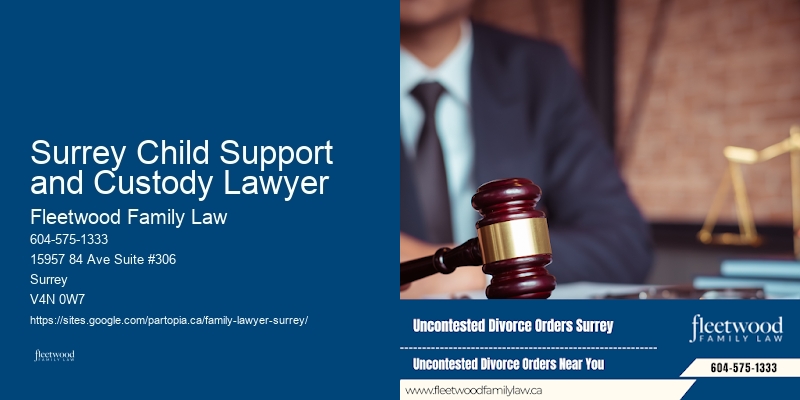 Surrey Child Support and Custody Lawyer