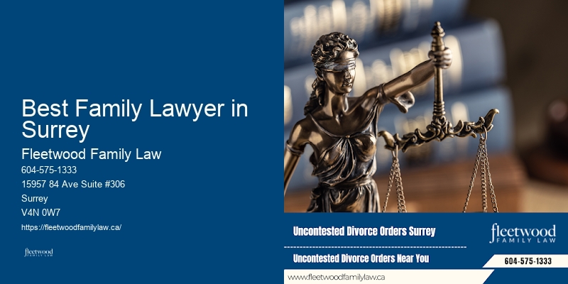 How Much Do A Family Lawyer Cost