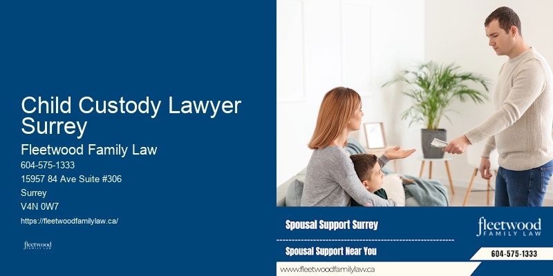Child Custody Lawyer Surrey Family Law Expert