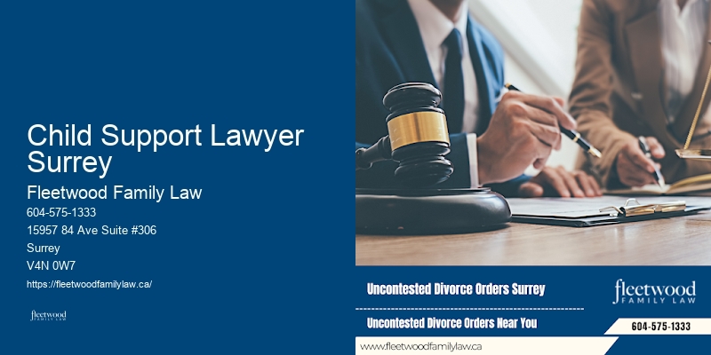 Child Support Lawyer Surrey Family Law
