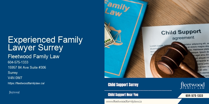 Family Lawyer Experienced Family Lawyer Surrey Legal Advice