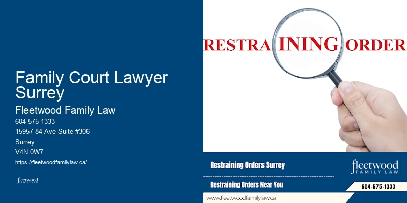 Family Lawyer Family Court Lawyer Surrey Child Custody