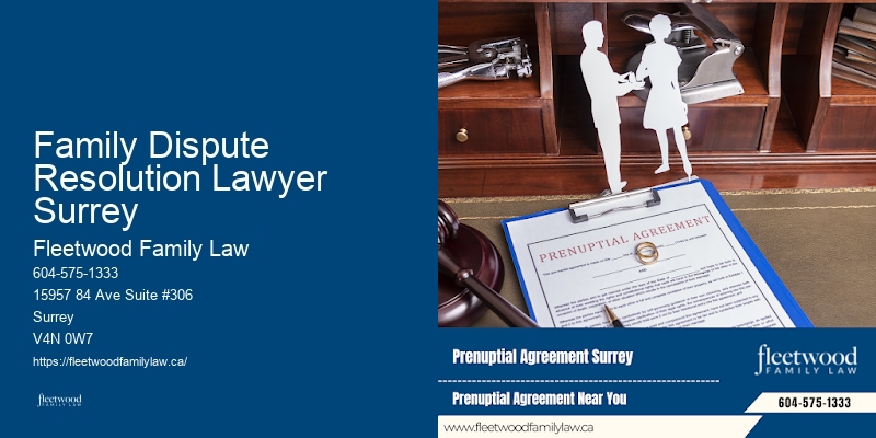 Family Dispute Resolution Lawyer Surrey Family Court Attorney
