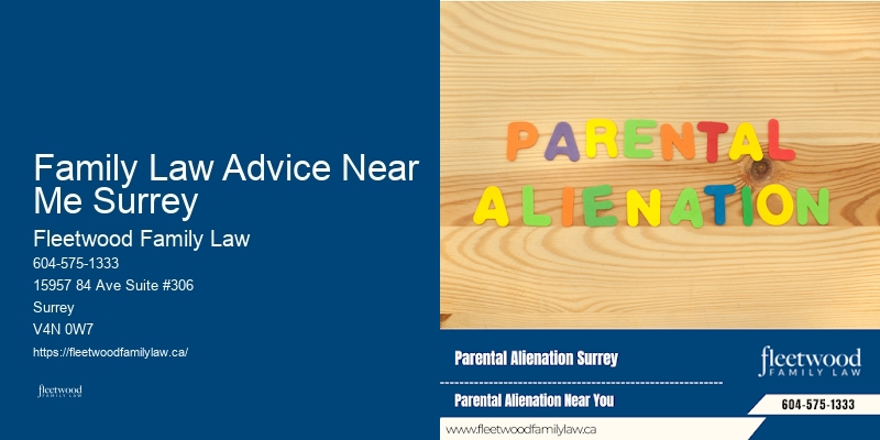 Dynamic Family Lawyer Family Law Advice Near Me Surrey
