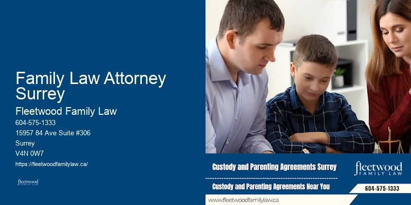 Knowledgeable Family Lawyer Family Law Attorney Surrey