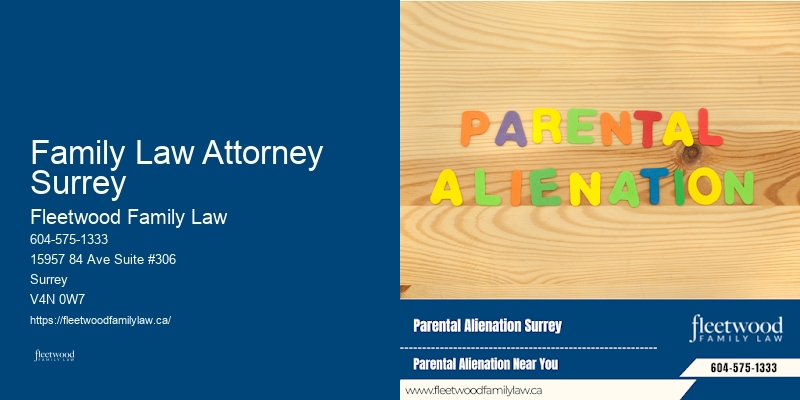 Reliable Family Lawyer Family Law Attorney Surrey