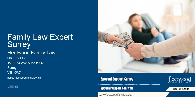Family Lawyer Family Law Expert Surrey Advocacy
