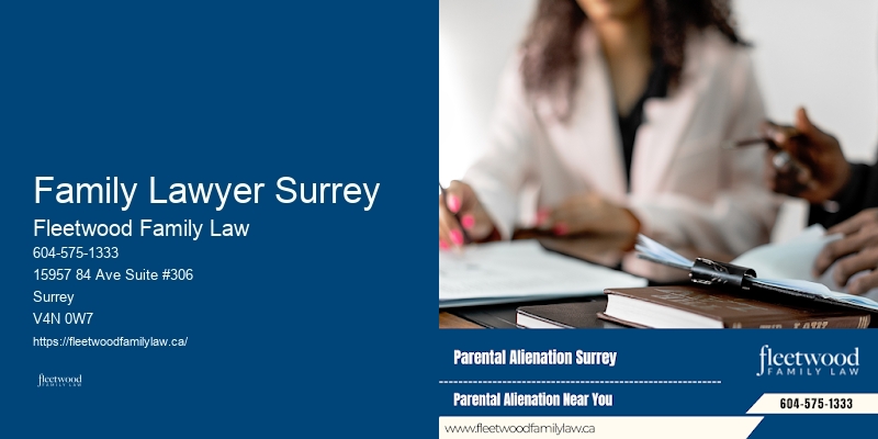 Family Lawyer Cost-Effective Solutions