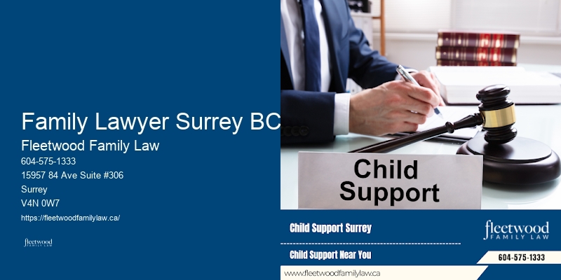 Family Law Disputes Family Lawyer Surrey BC