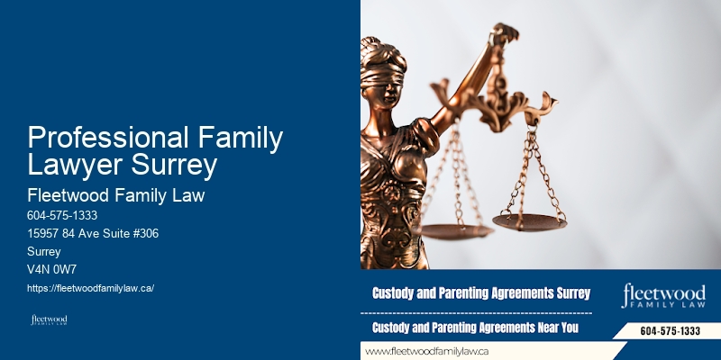 Professional Family Lawyer Surrey Property Division Family Lawyer