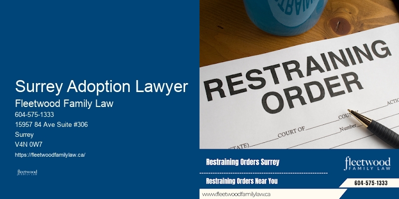 Surrey Adoption Lawyer Property Division Lawyer