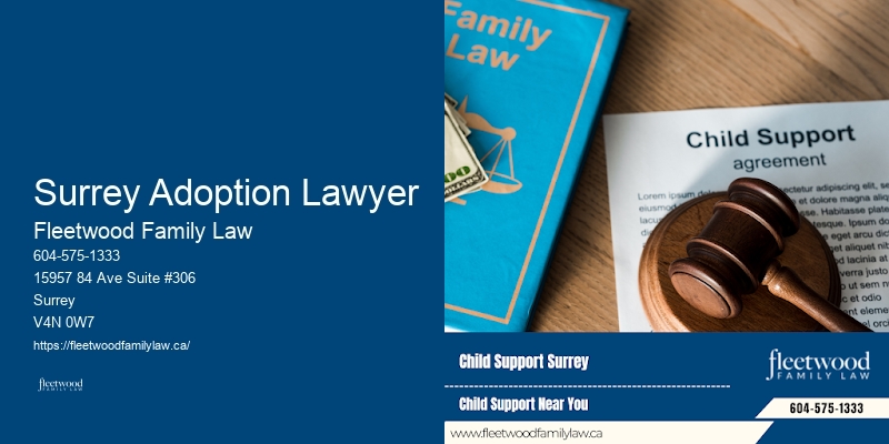 Legal Aid for Child Custody