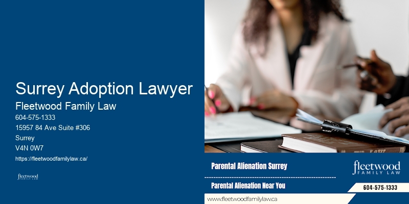 Legal Support for Custody Battles