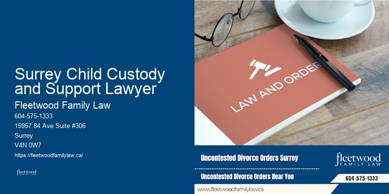 Family Law Expert Surrey Child Custody and Support Lawyer
