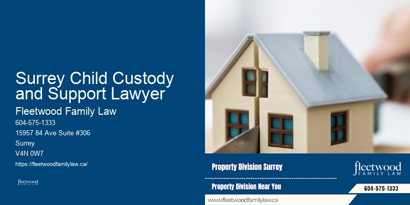 Family Lawyer Surrey Child Custody and Support Lawyer Legal Options