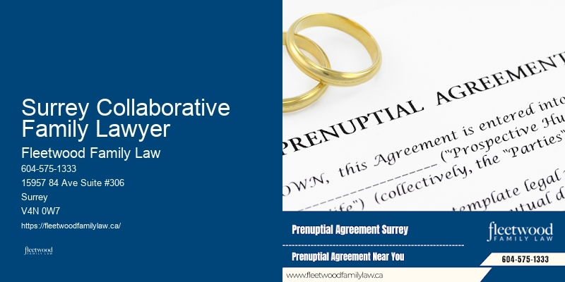 Family Law Litigation