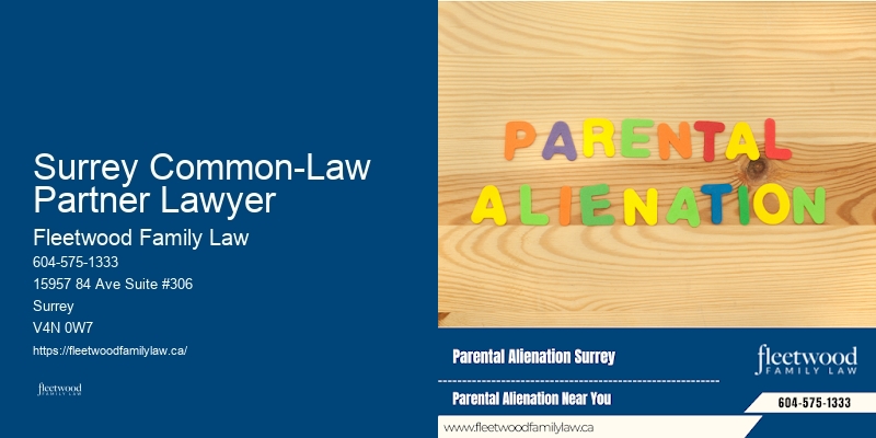 Responsive Family Lawyer Surrey Common-Law Partner Lawyer