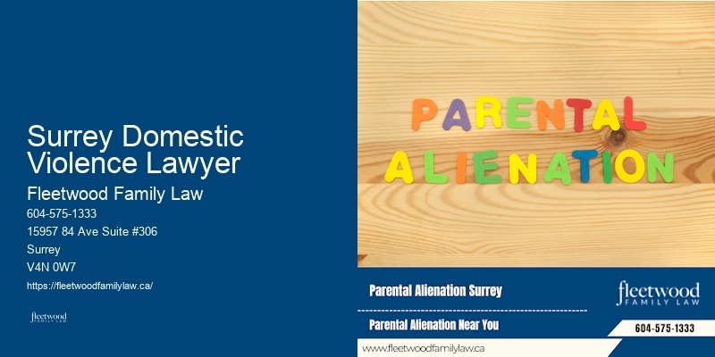 Skilled Family Lawyer Surrey Domestic Violence Lawyer