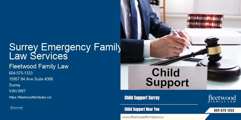Dynamic Family Lawyer Surrey Emergency Family Law Services
