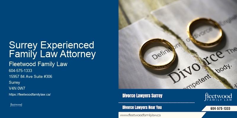 Surrey Experienced Family Law Attorney Child Custody Lawyer Affordable