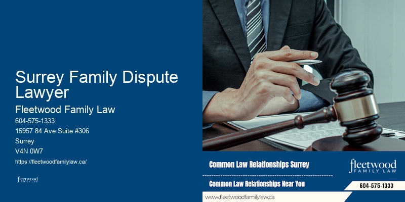 Family Lawyer Surrey Family Dispute Lawyer Restraining Orders