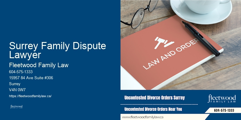 Child Custody Attorney Surrey Family Dispute Lawyer