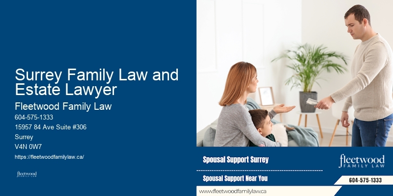 Custody Lawyer