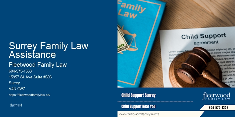 Family Law Litigator