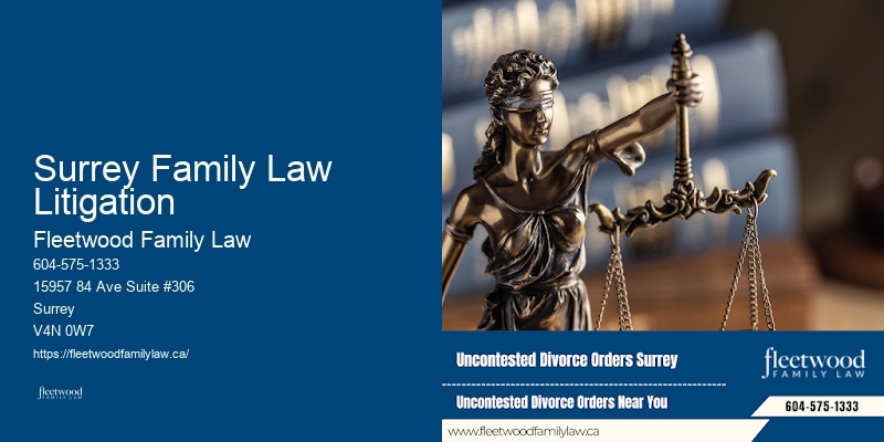 Family Law Appeals Lawyer Surrey Family Law Litigation