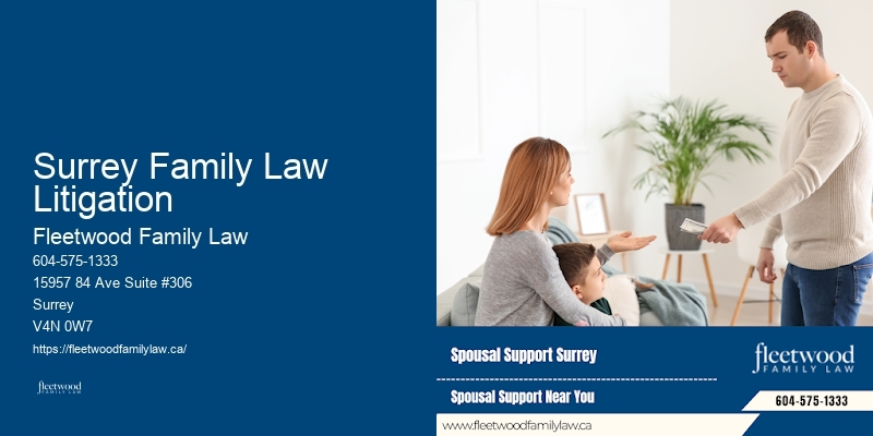 Spousal Support Lawyer Surrey Family Law Litigation