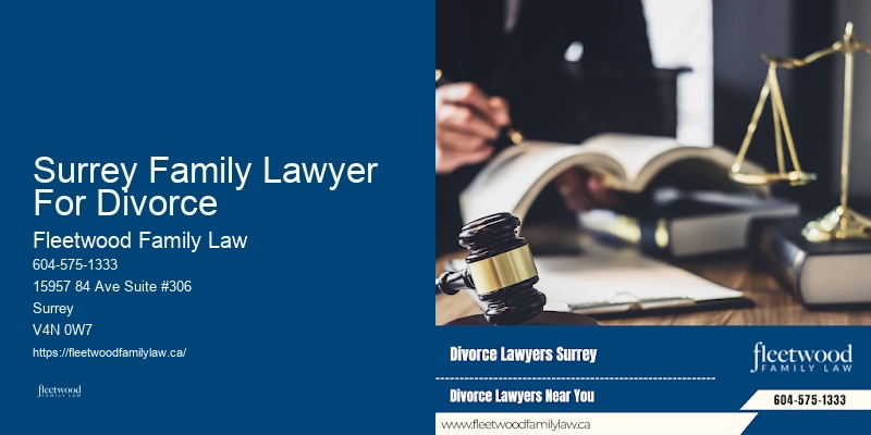 Child Support Lawyer Surrey Family Lawyer For Divorce