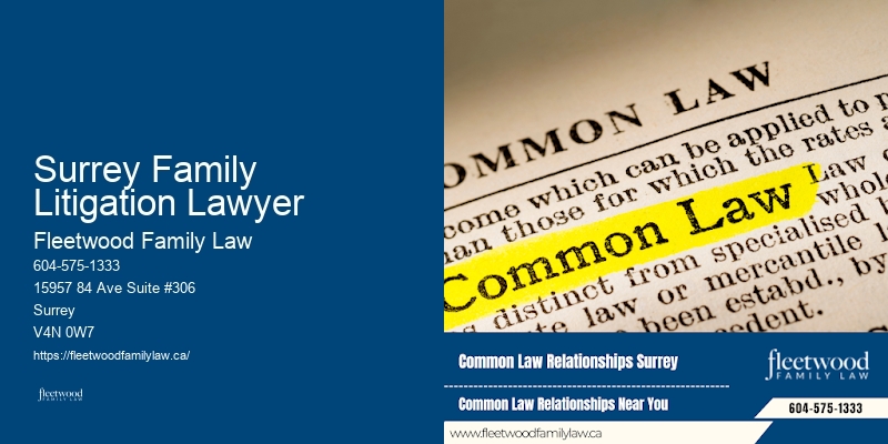 Family Dispute Resolution Lawyer Surrey Family Litigation Lawyer