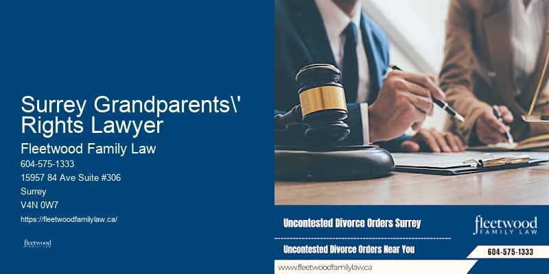 Expert Divorce Lawyer Surrey Grandparents' Rights Lawyer
