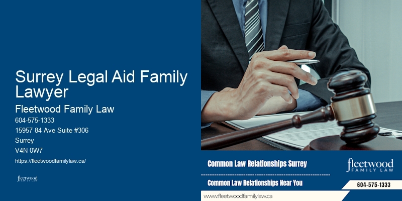 Family Lawyer Cost Efficiency