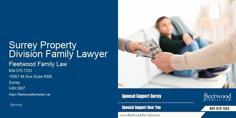 Best Family Lawyer Surrey Property Division Family Lawyer