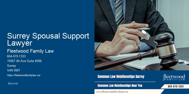 Who Is The Best Family Lawyer