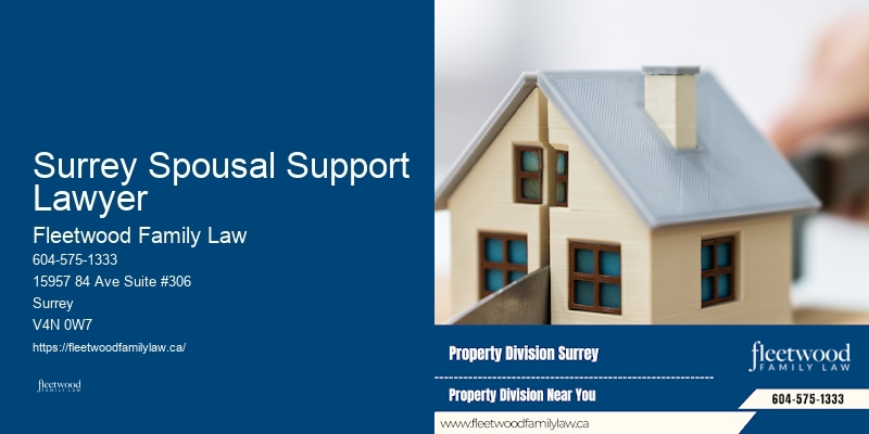 Family Lawyer Surrey Spousal Support Lawyer Domestic Violence
