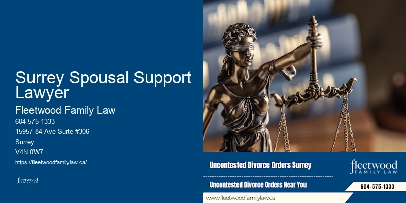 Child Custody Mediator