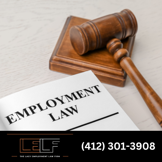 Top Employment Law Consultants Philly