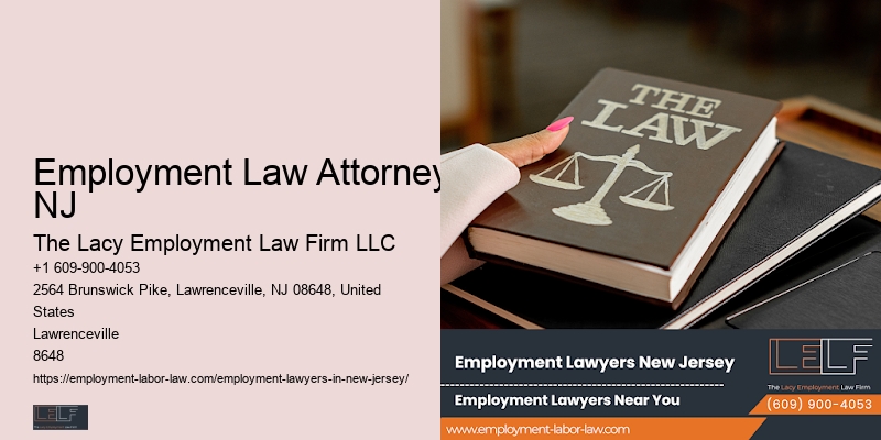 Employment Law Attorney NJ