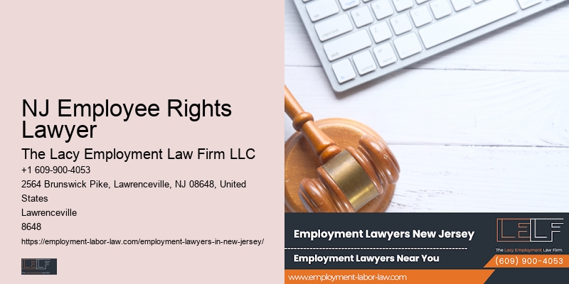 New Jersery Employment Law Support