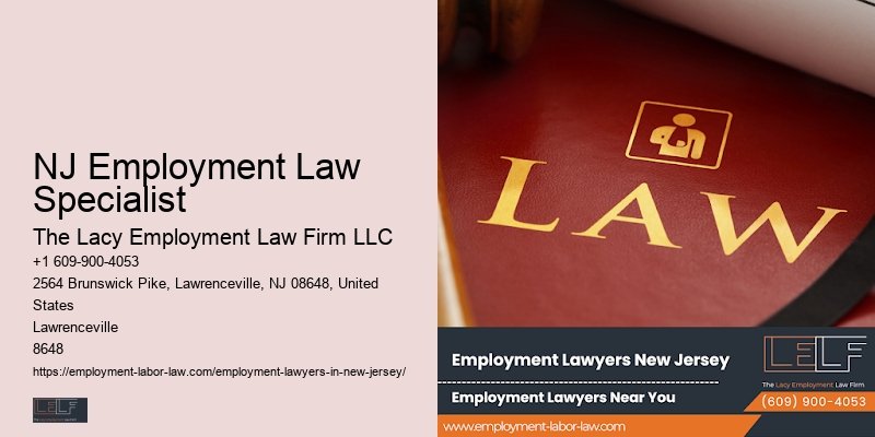 Employment Lawyer
