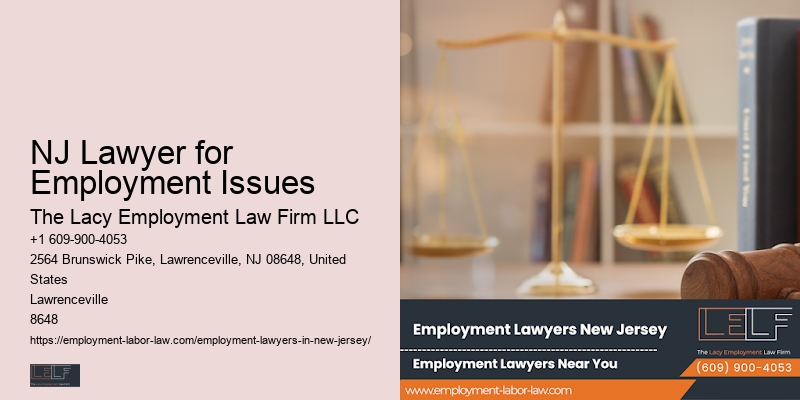 Employment Dispute Lawyer New Jersery