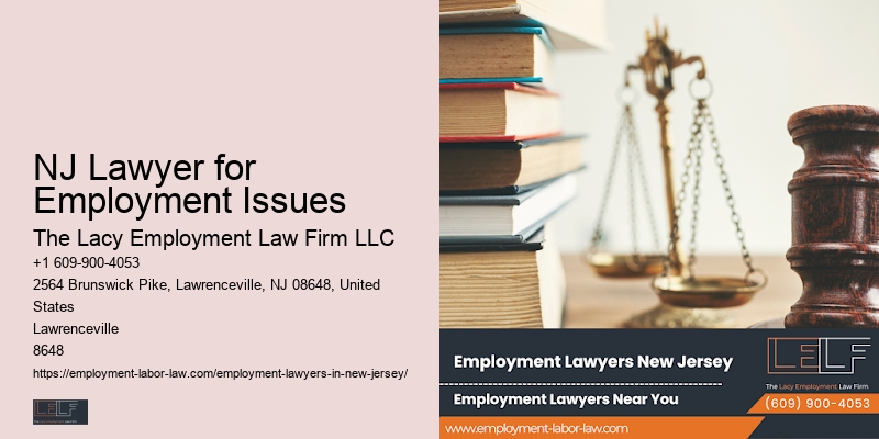 Business Lawyers
