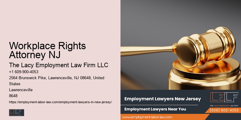 Best Employment Lawyer in New Jersery