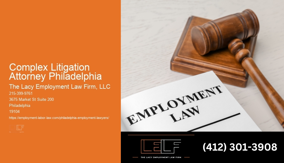 Local Legal Support Expert Complex Litigation Attorney Philadelphia