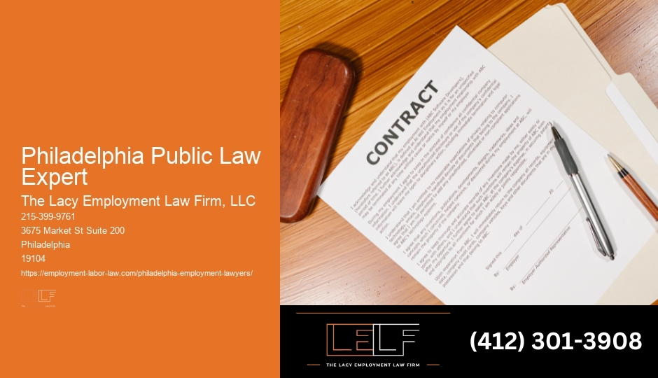Niche Law Expert Philadelphia Public Law Expert