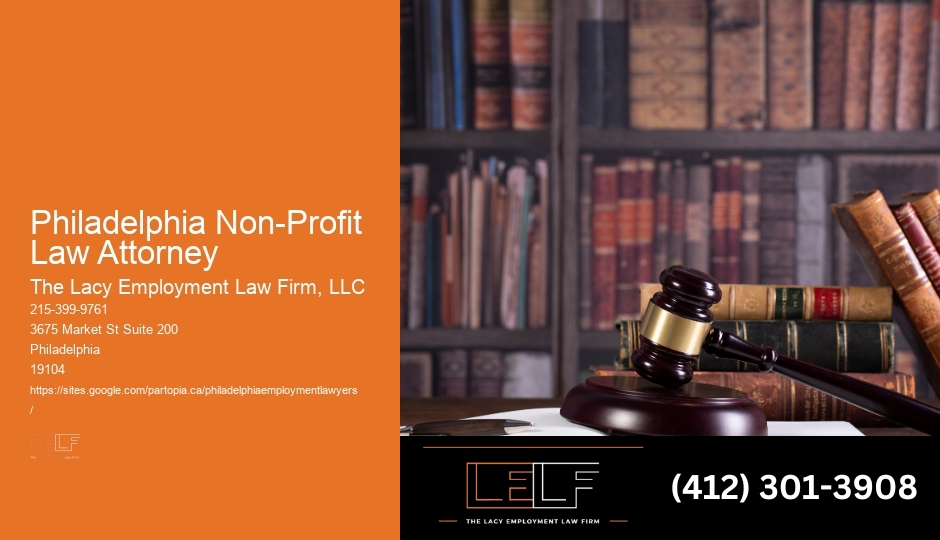Immigration Law Consultant Philadelphia Non-Profit Law Attorney