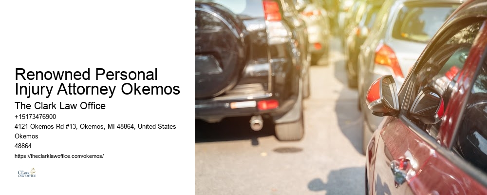 Renowned Personal Injury Attorney Okemos